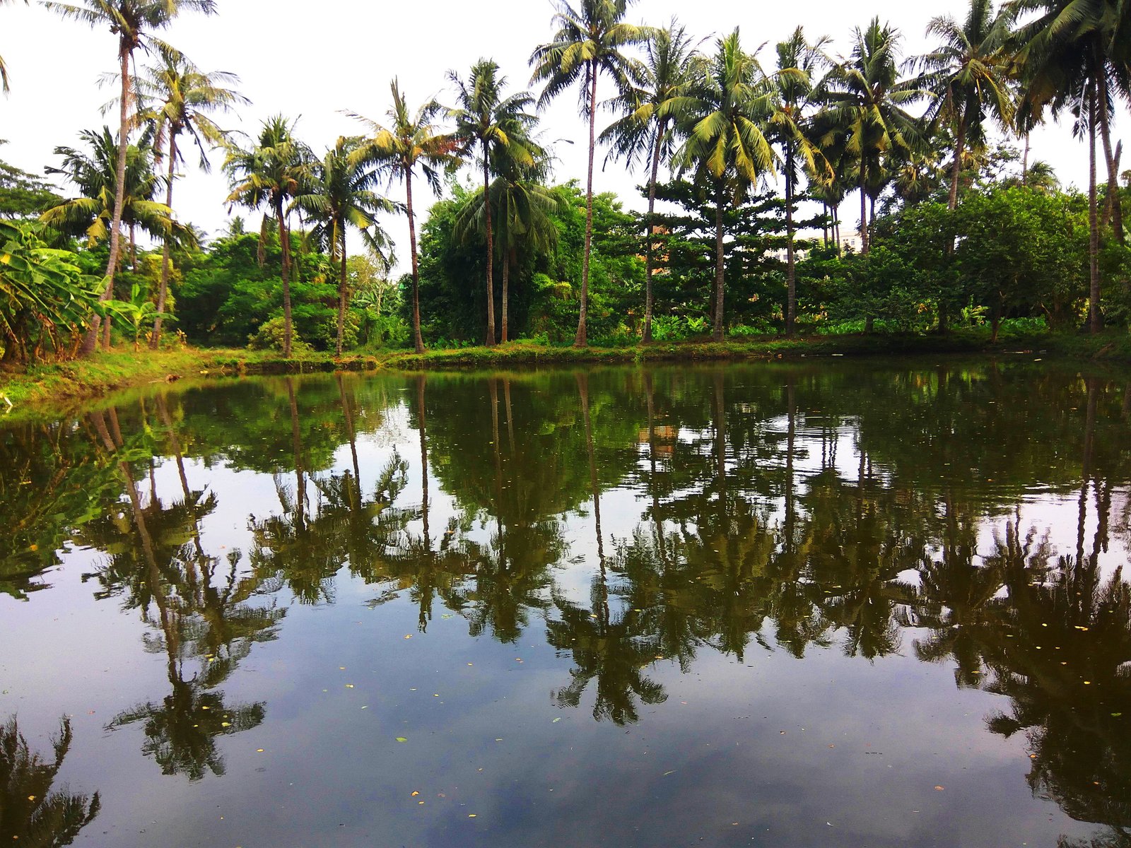 What to do, when you visit Puri (Orissa) second time.